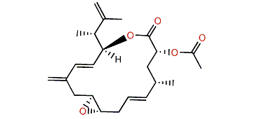 Amphidinolide PX2